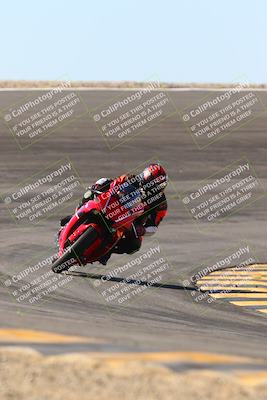 media/Jan-13-2024-SoCal Trackdays (Sat) [[9c032fe5aa]]/Bowl Exit Set 2 (1135am)/